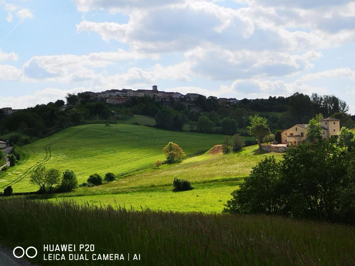 Castel Mazars Bed and Breakfast Castelnau-de-Montmiral Eksteriør billede