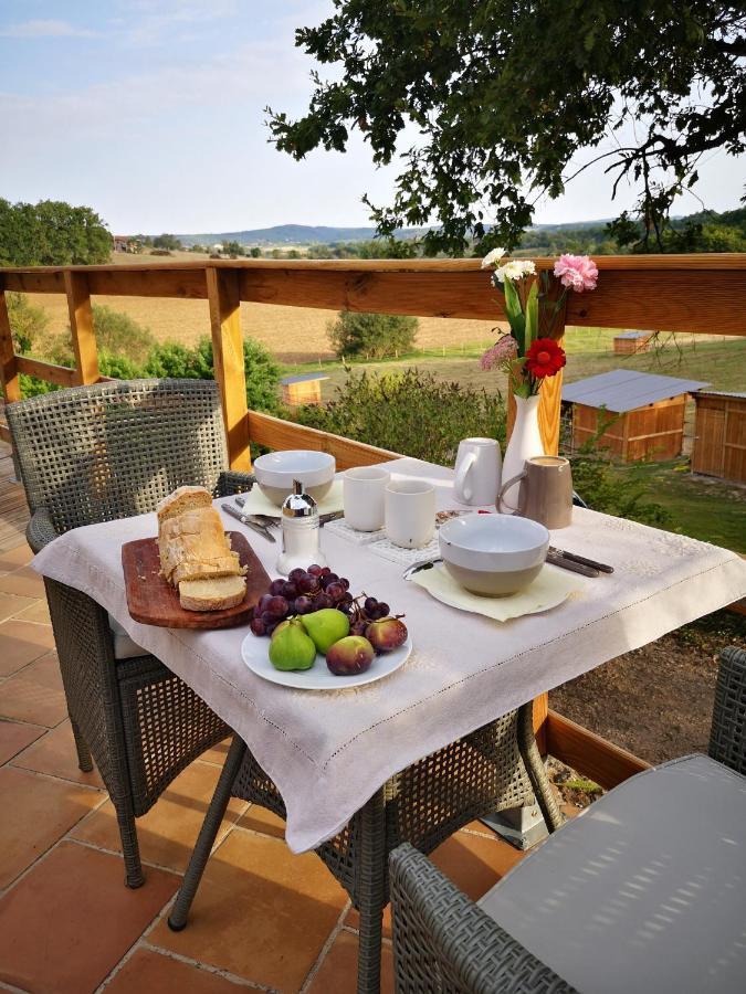 Castel Mazars Bed and Breakfast Castelnau-de-Montmiral Eksteriør billede